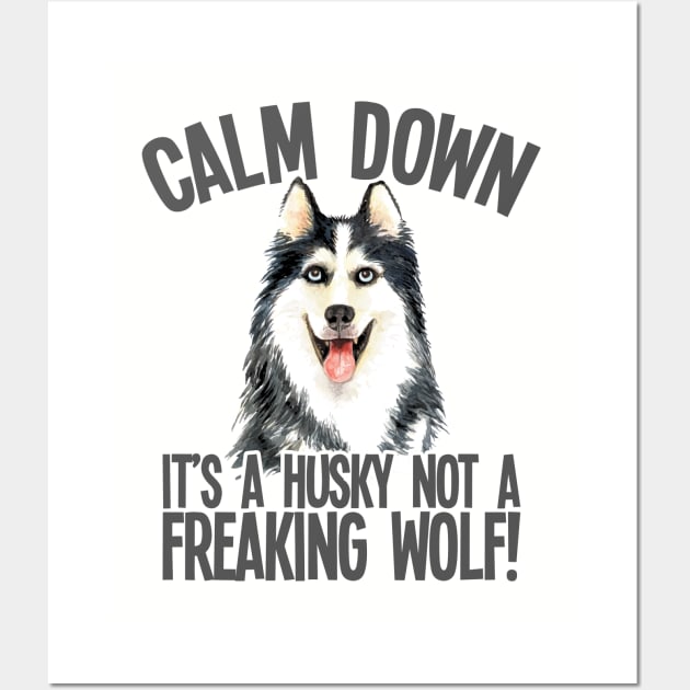 Husky - Calm Down Its A Husky Not A Freaking Wolf Wall Art by Kudostees